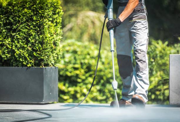 Best Roof Cleaning and Mildew Removal in Desnso, CA